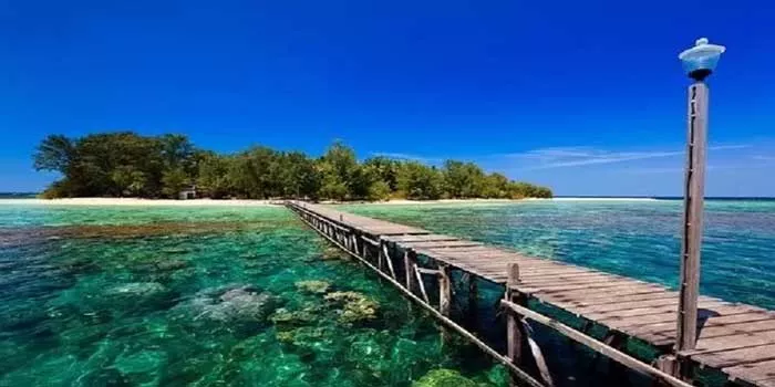 Pesona Pulau Panjang Jepara yang Berada di Jawa Tengah