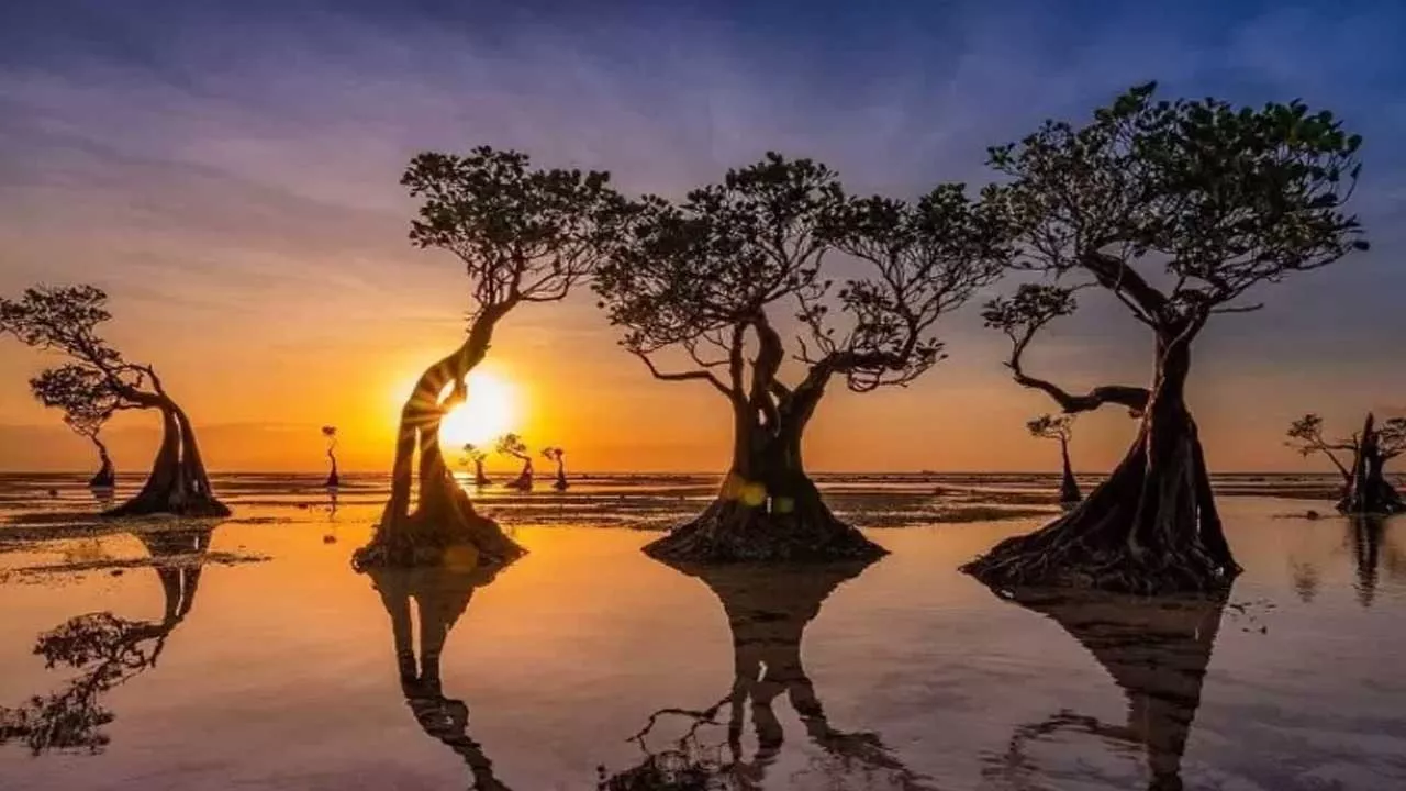 Pantai Walakiri: Surga Tersembunyi di Timur Indonesia